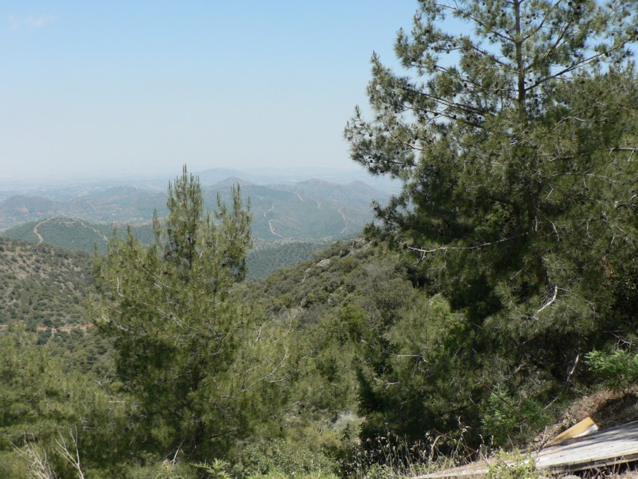 Лес Махерас Кипр