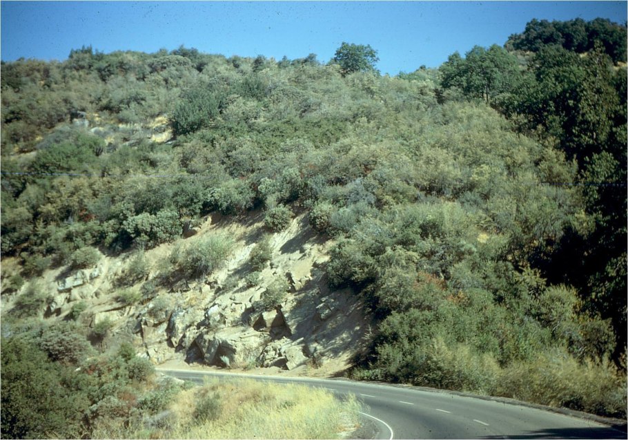 Средиземноморский Чапараль