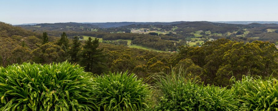 Средиземноморские вечнозеленые жестколистные леса