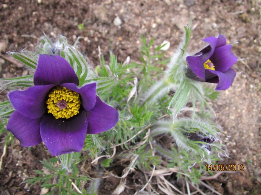 Башни ПРОСТРЕЛОВ