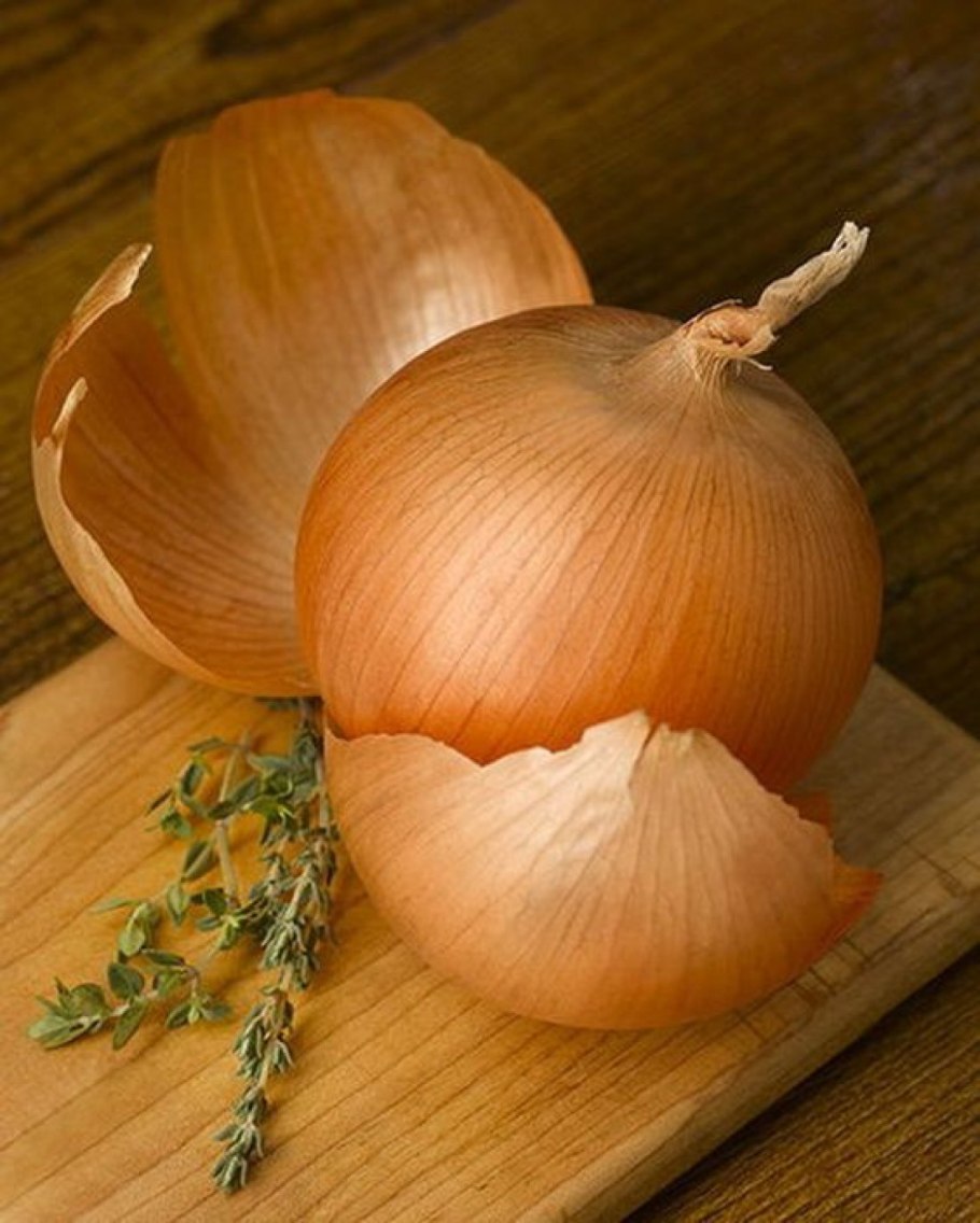 Лук репчатый ледокол