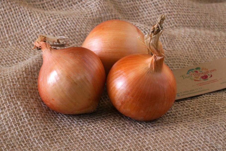 Лук репчатый халцедон, 1г