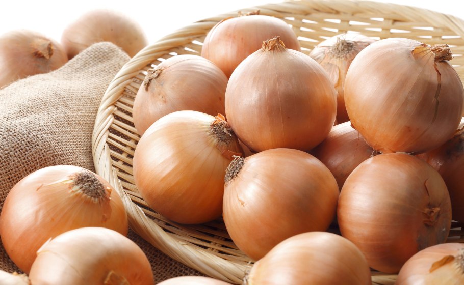 Лук репчатый красивый