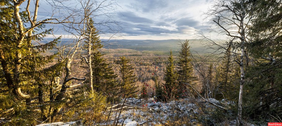 Хакасия Сибирская Тайга