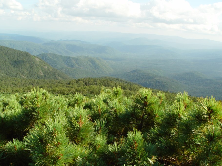 Пинежский заповедник Архангельской области