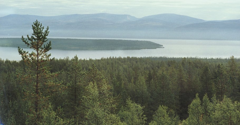 Глухая Тайга Сибири