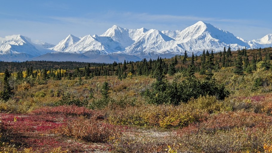 Елово Пихтовая Тайга