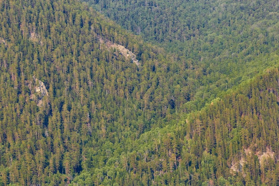 Горная Тайга Забайкальского края