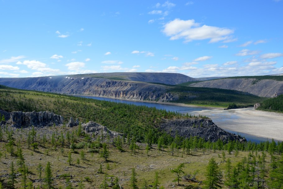 Светлохвойная Тайга Якутия