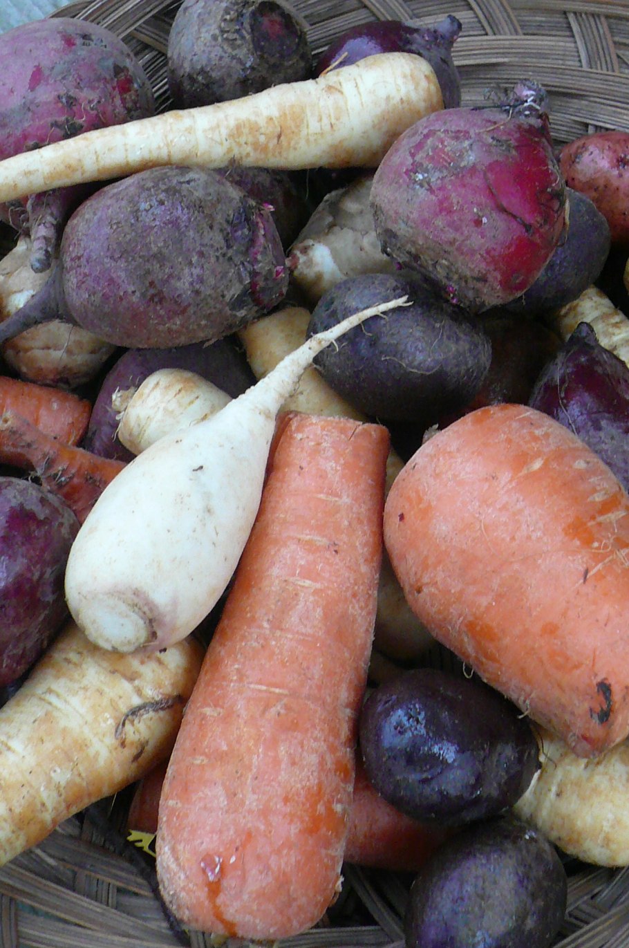 Картофель морковь свекла