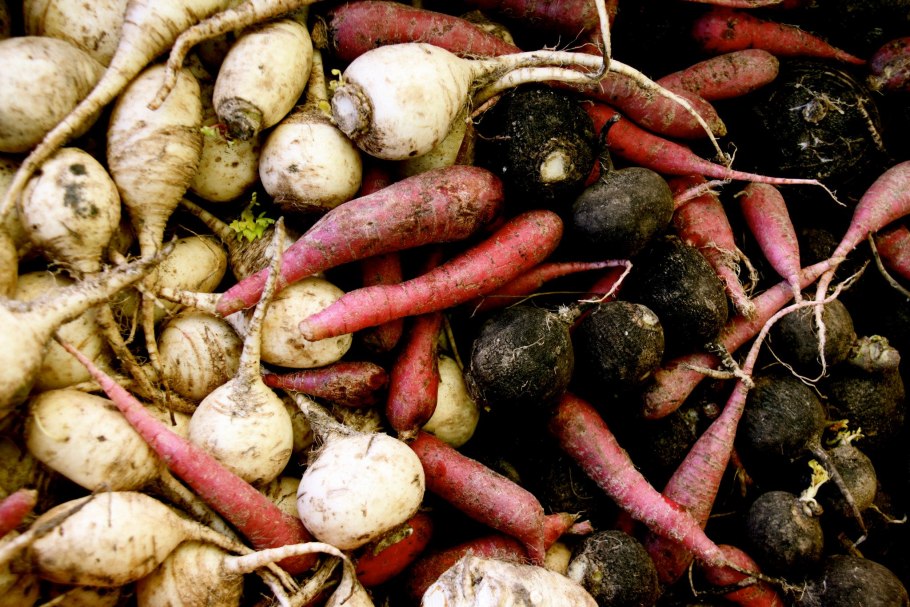 Съедобные корни