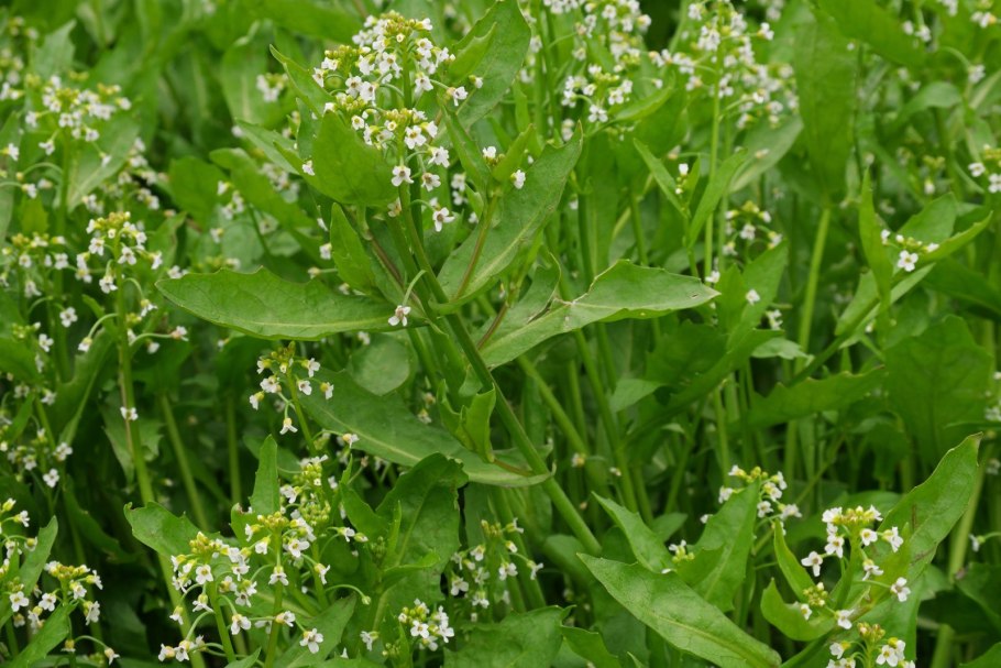 Италия Бергамо Рalazzo delle poste