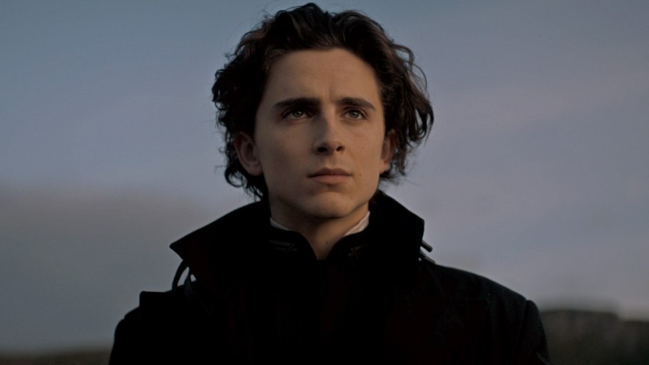 Дюна тимоти шаламе