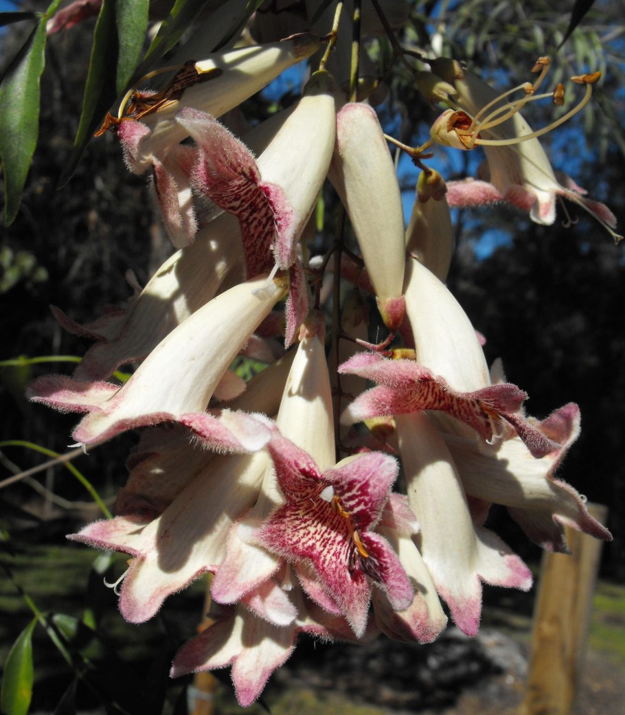 Суини Тодд демон-парикмахер с Флит-стрит Джонни Депп