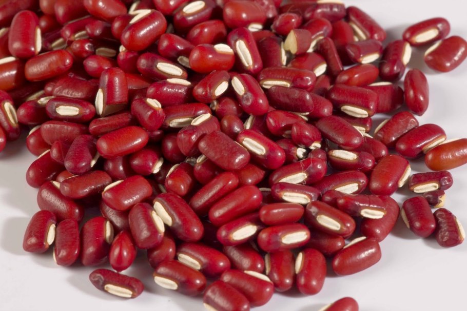 Красная фасоль адзуки