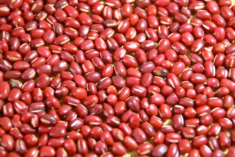 Фасоль адзуки