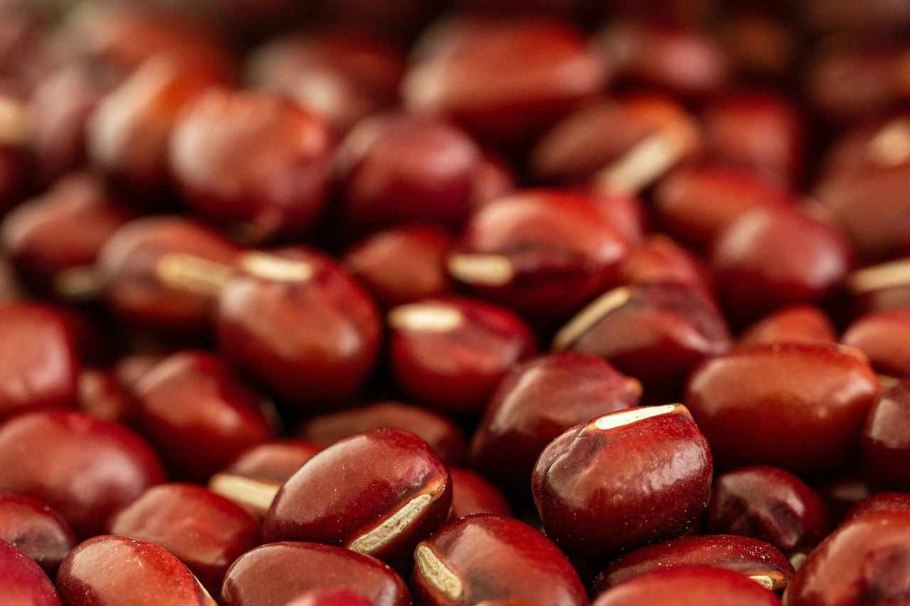 Бобы адзуки