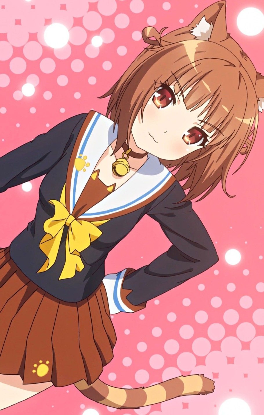 Некопара азуки