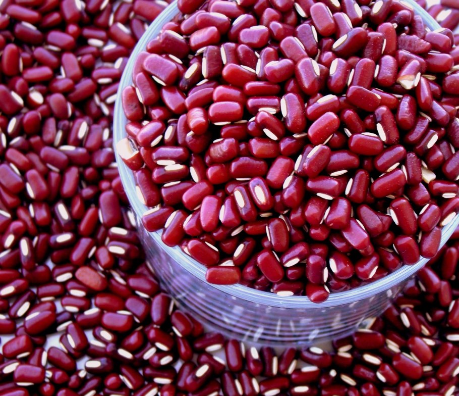 Японские Бобы адзуки