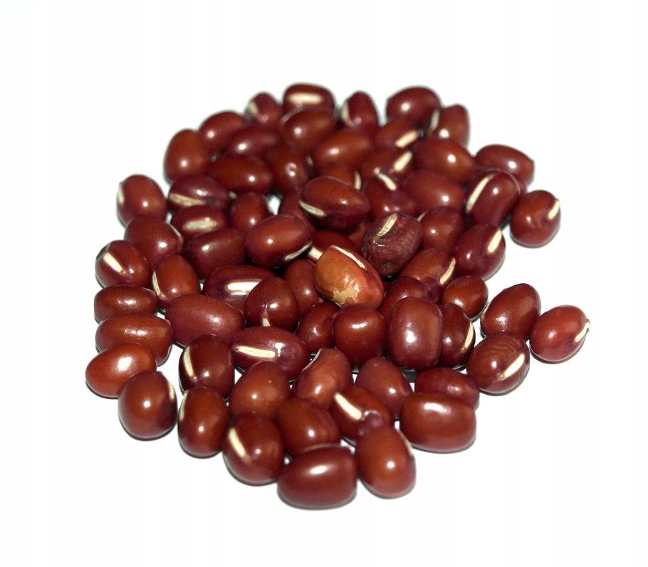 Японская фасоль адзуки