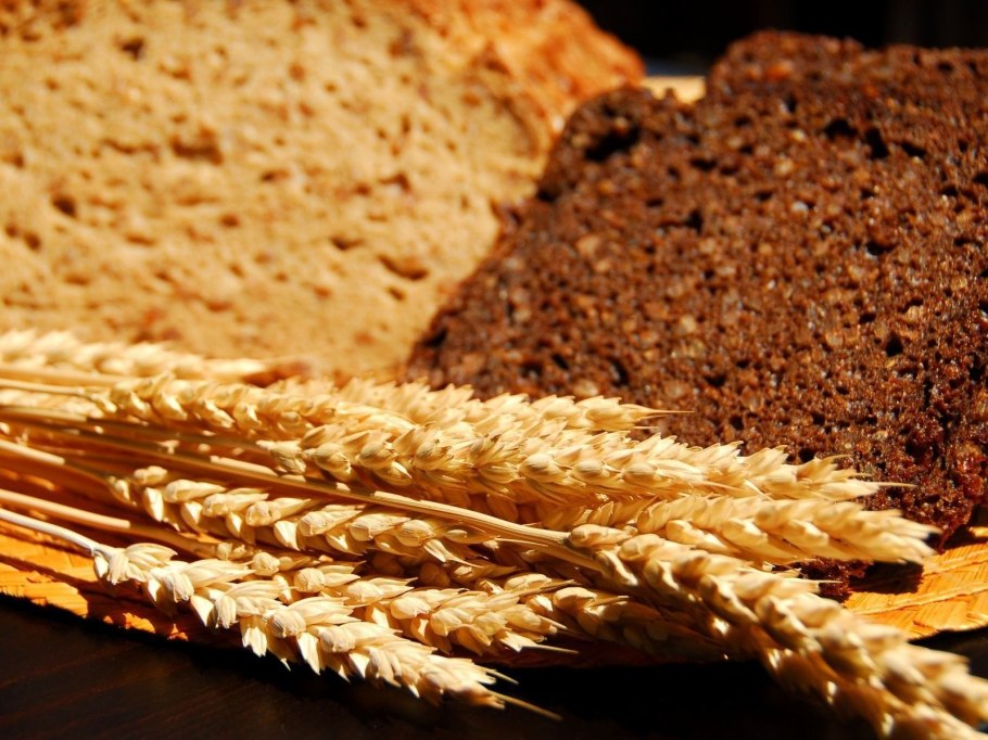 Зерновые злаки