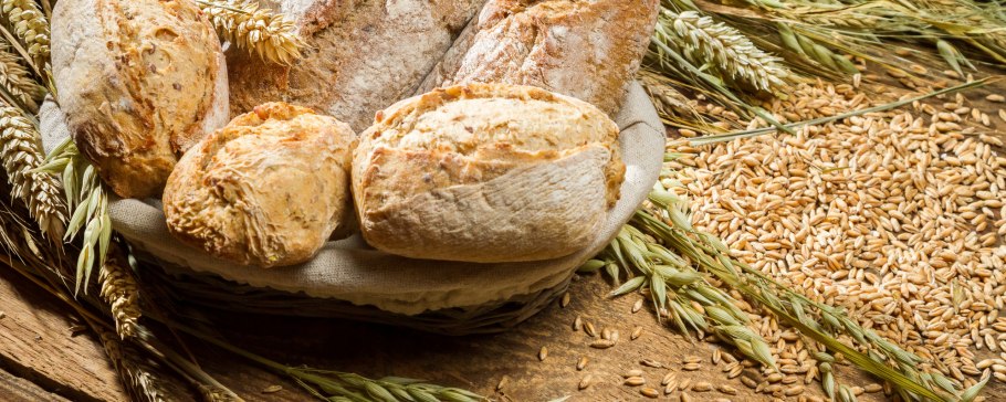 Спелые колосья хлеба