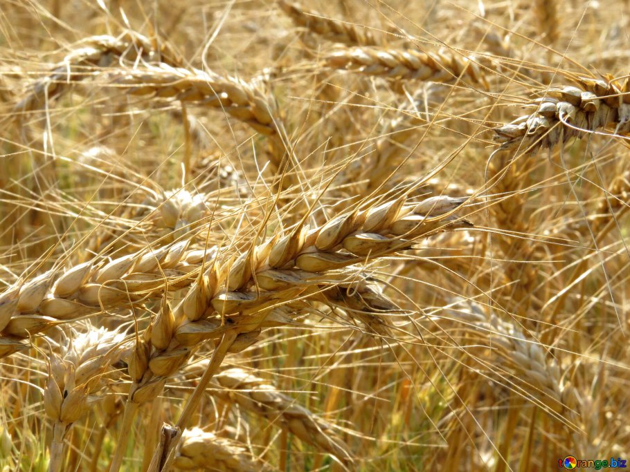 Хлеб со злаками