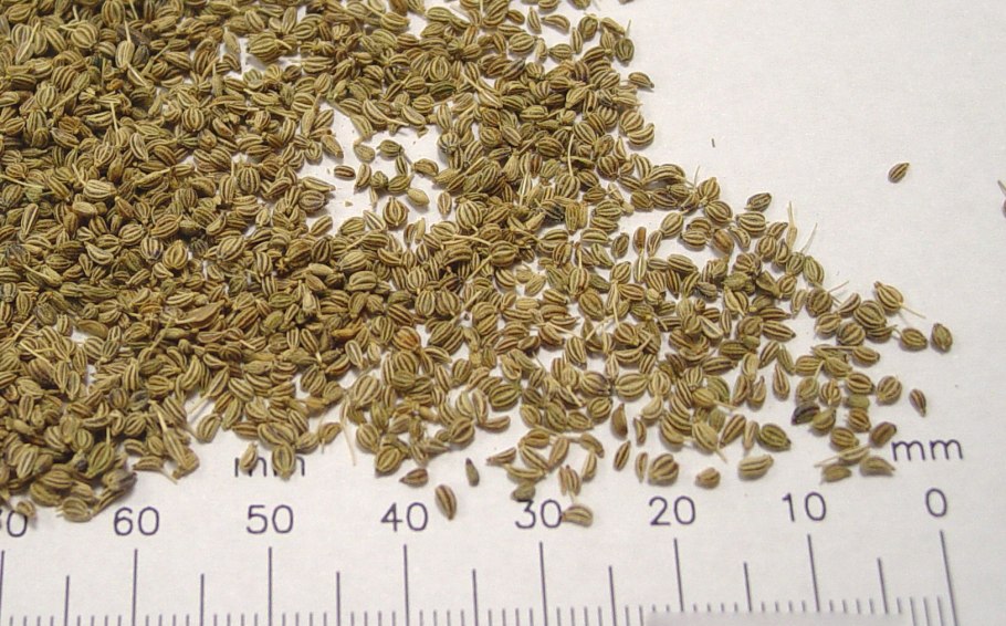 Ажгон специя