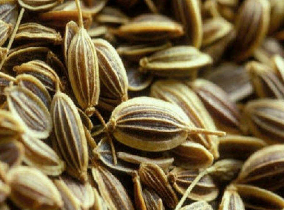 Айован (ажгон)