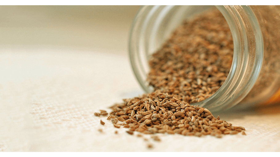 Ажгон растение