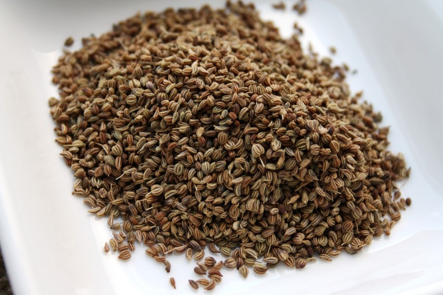 Ажгон (аджван, индийский тмин)