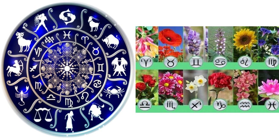Гороскоп цветов