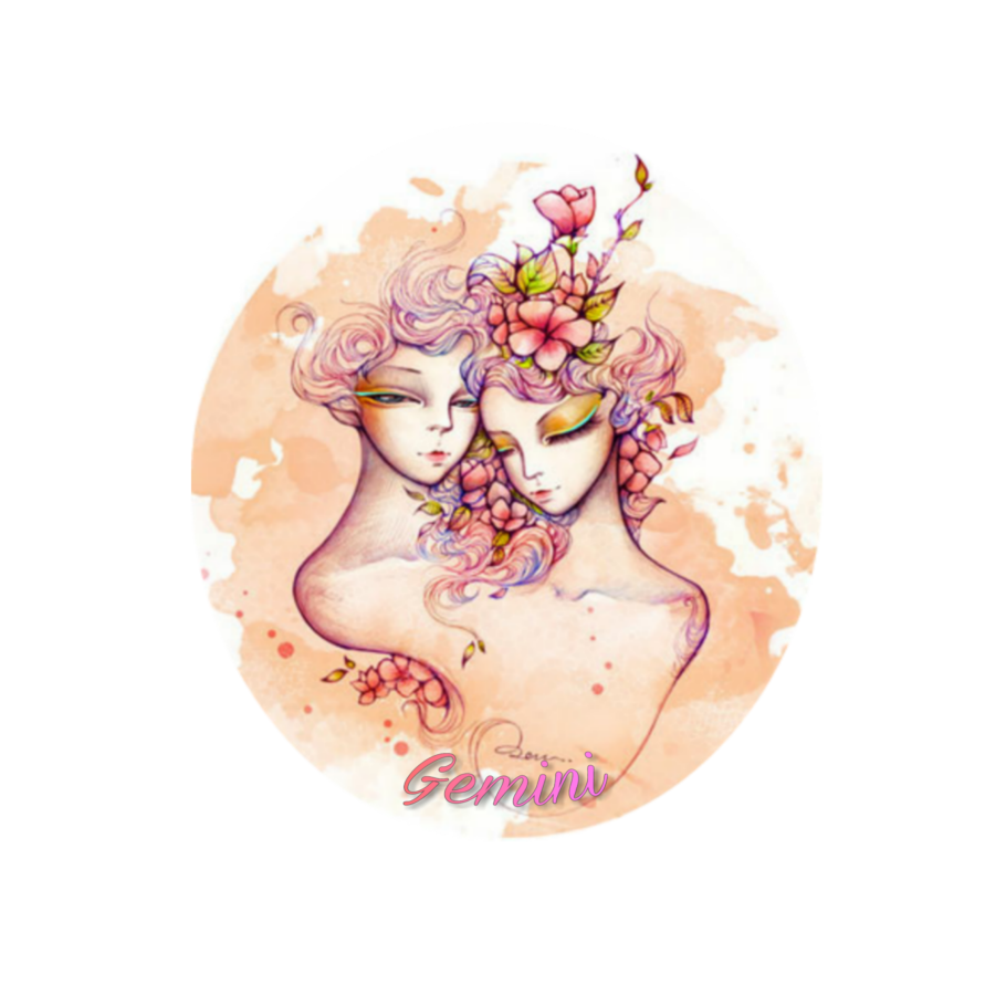 Знак зодиака близнецы женщина