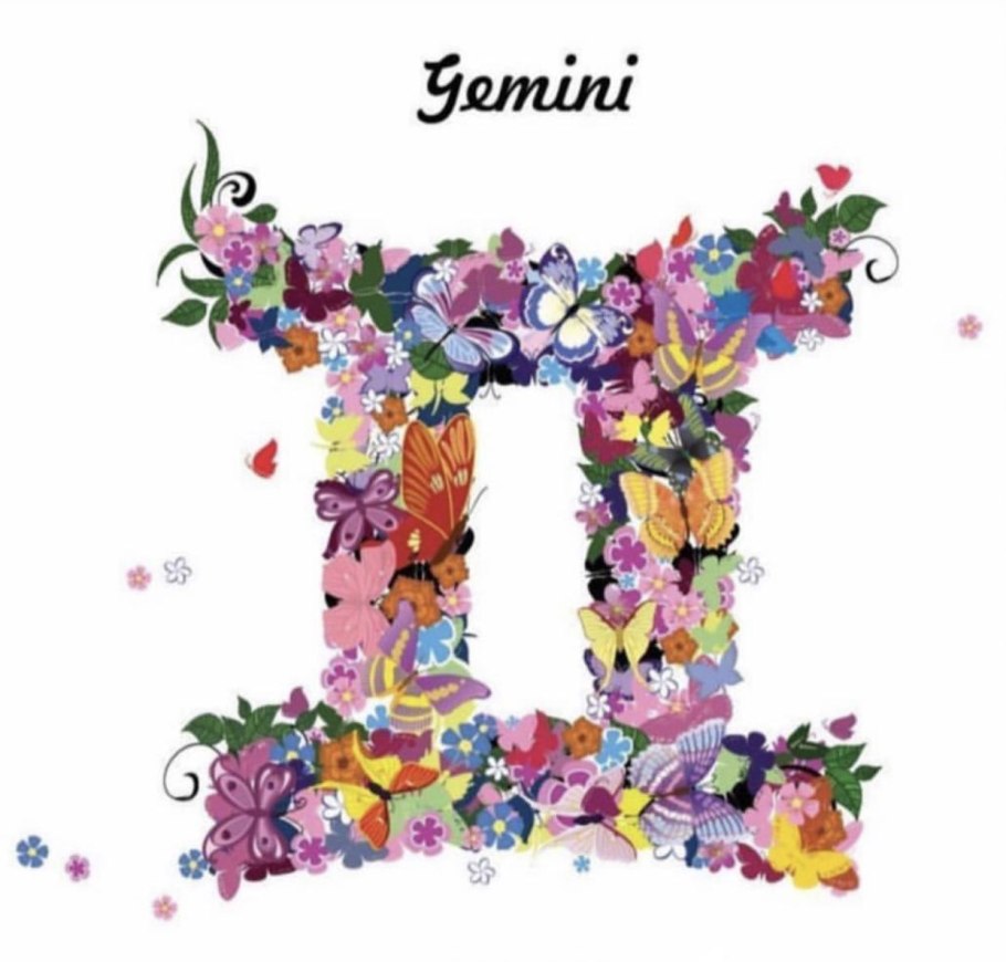 Знак зодиака близнец