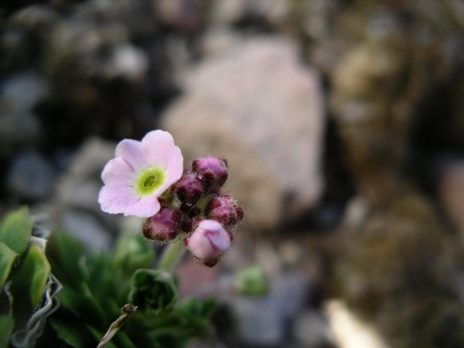 THEBRIANMAPS/Максим Тарасенко