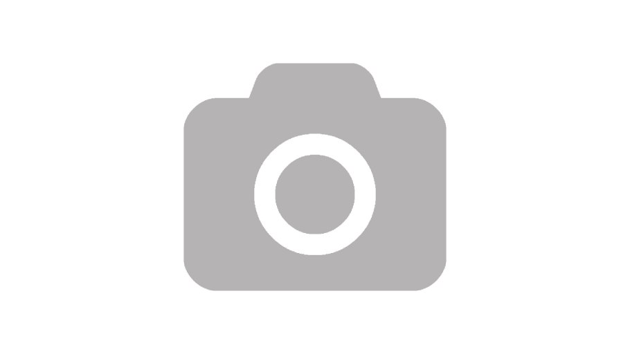 Сymbopetalum Penduliflorum