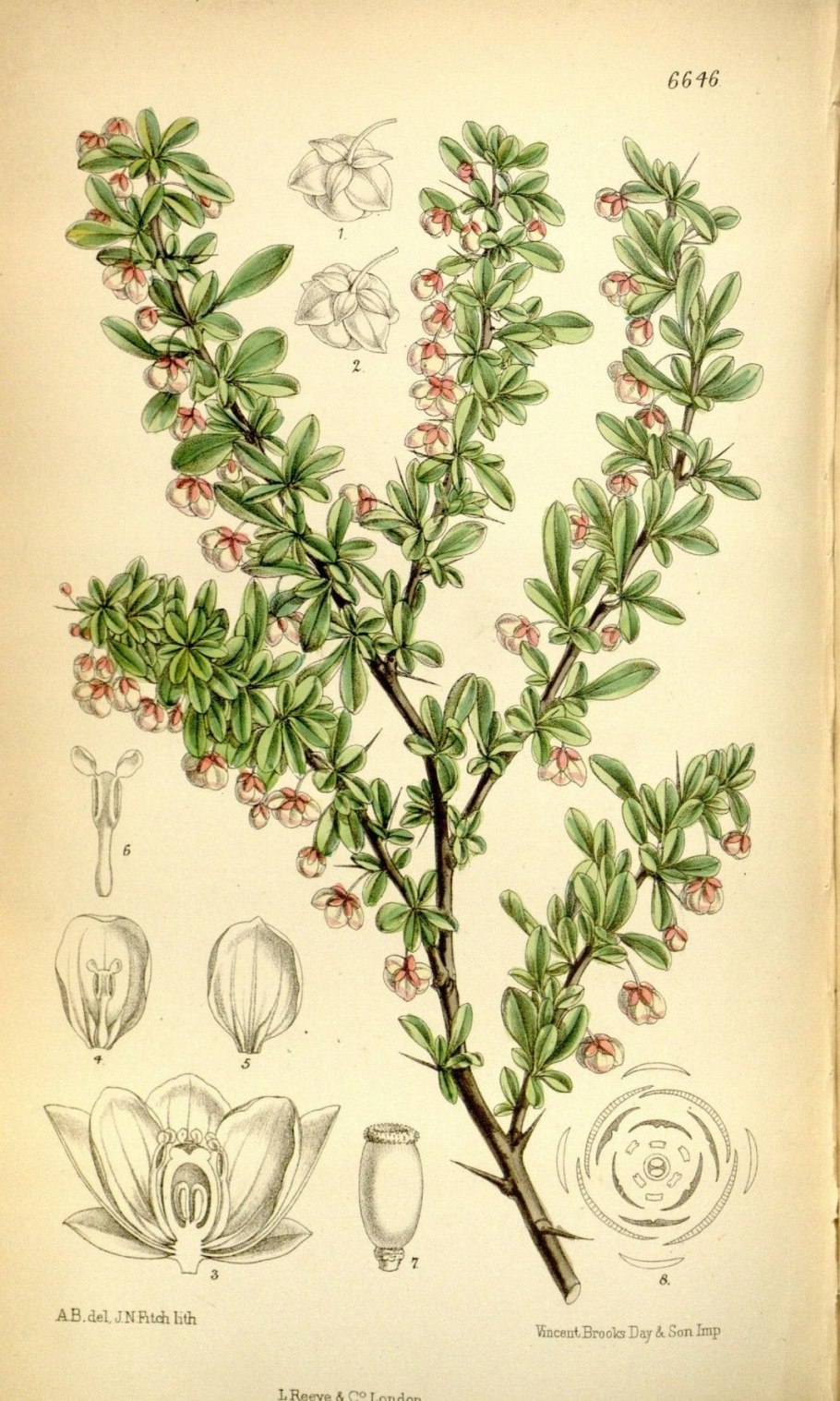 Материнская плата MSI 865gvm2-LS