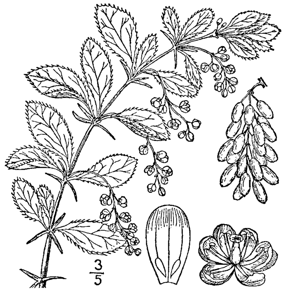 Спот Nowodvorski Eye spot Black vi 6611