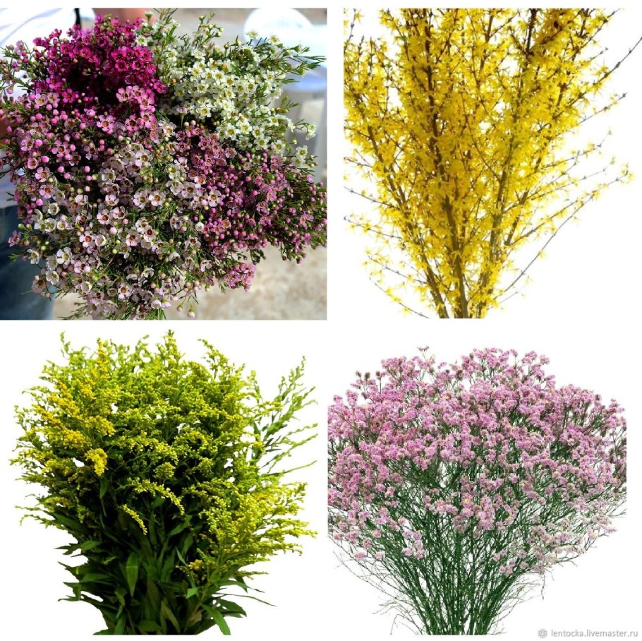 Карбюратор leader pz19jb