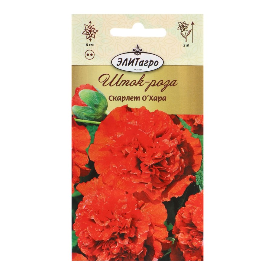 Мальва (Alcea) крем де Кассис (rosea)