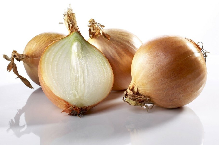 Лук репчатый Гордион