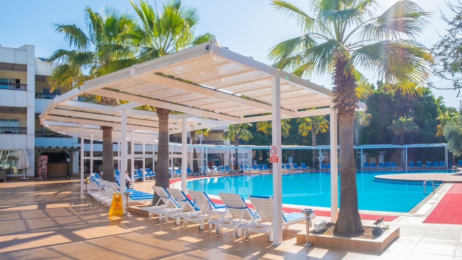 Пальма сабаль Пальметто