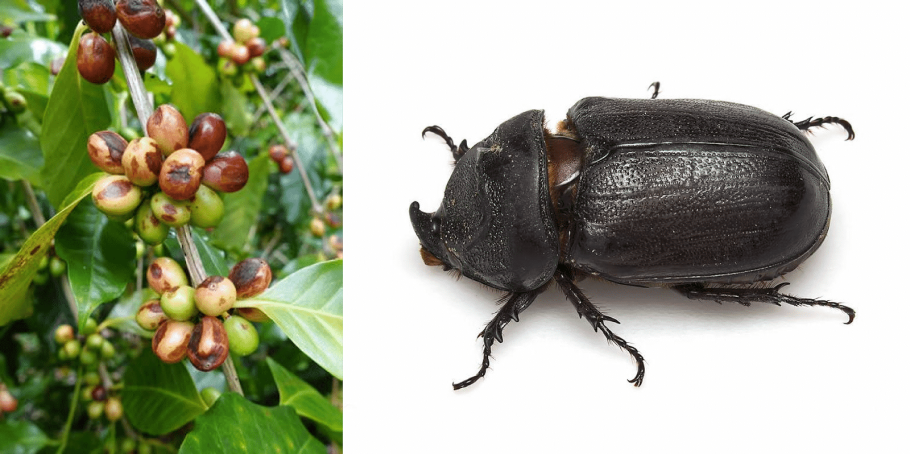 Здоровый младенец