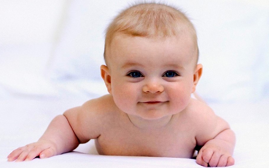 Аисты мультфильм 2016