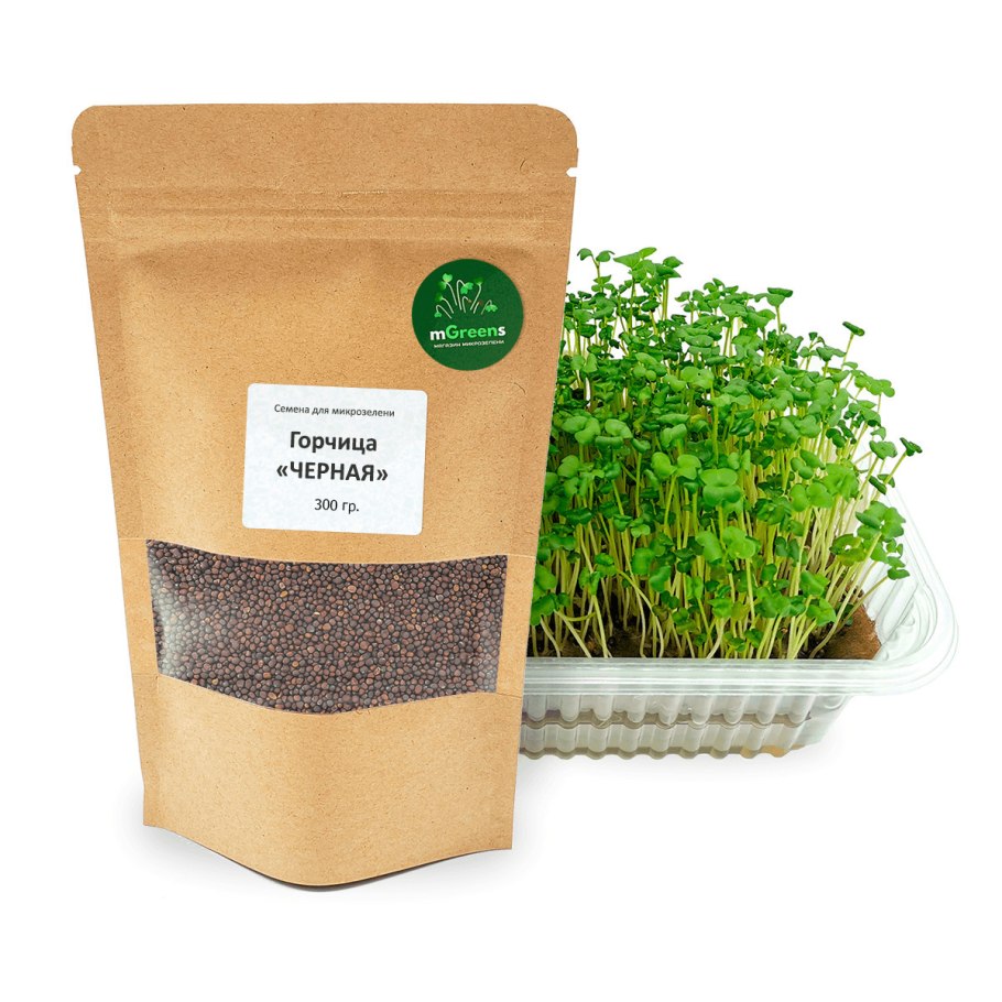 Семена для выращивания микрозелени