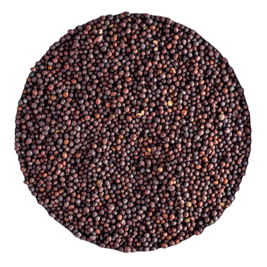 Тат сой фото