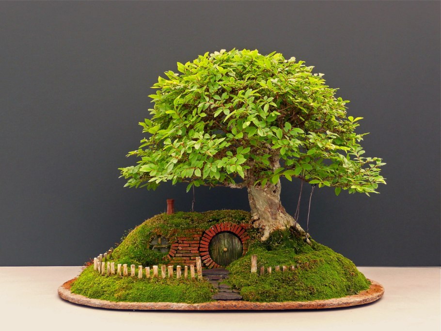 Бонсай Хоббит