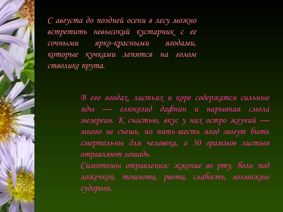 Вопросы по охране окружающей среды
