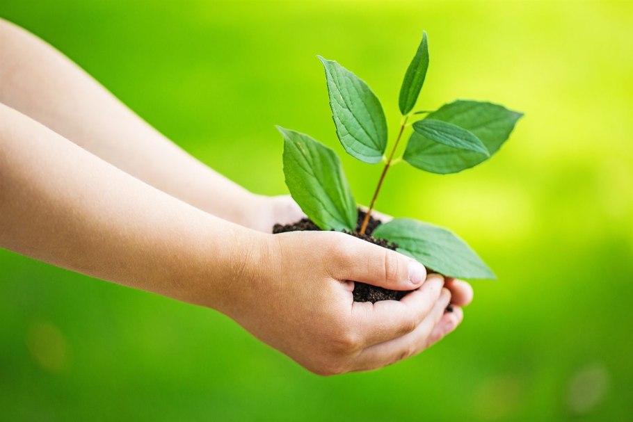 Зеленый (Eco-friendly) бизнес