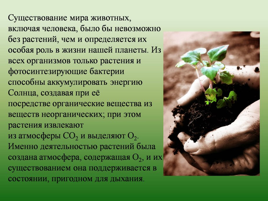 Роль растений и животных в жизни человека